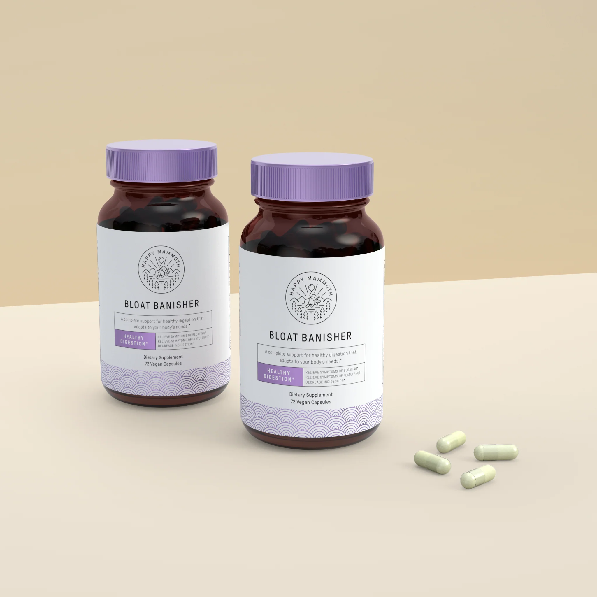 Bloat Banisher: The Fast-Acting Anti-Bloat Formula - Image 3